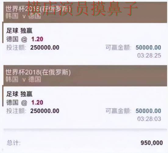 世界杯官方信息来临，世界杯投注入口稳定性评测+直播与平台选择精选